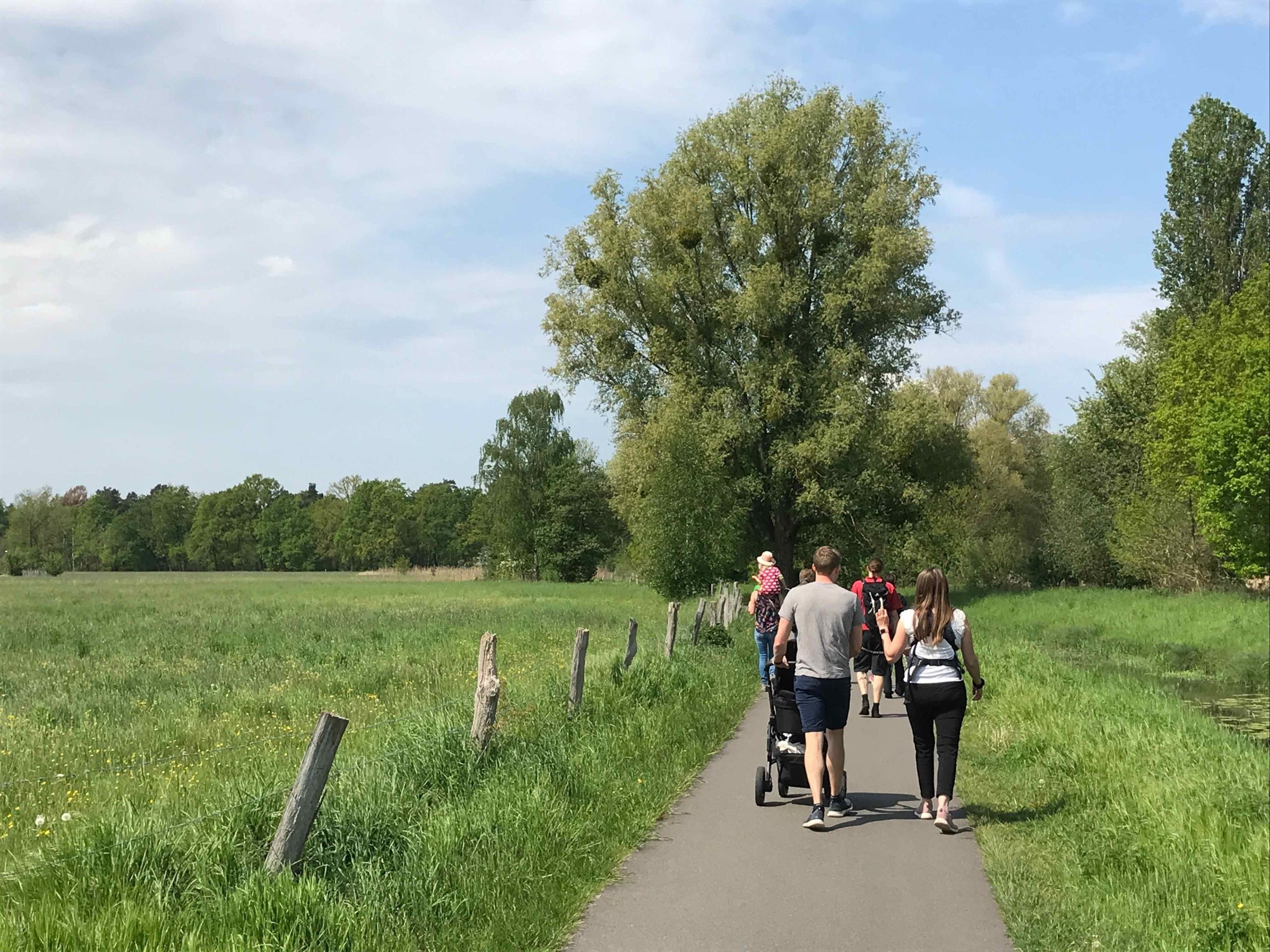 Vogelwanderweg am Tankumsee